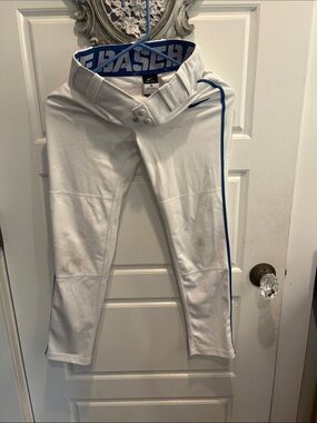 Nike Baseball Pants with blue stripe down side